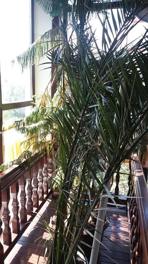 Vila Smaranda Predeal Dış mekan fotoğraf