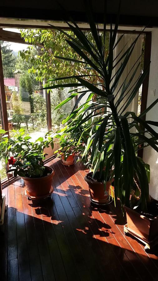 Vila Smaranda Predeal Dış mekan fotoğraf
